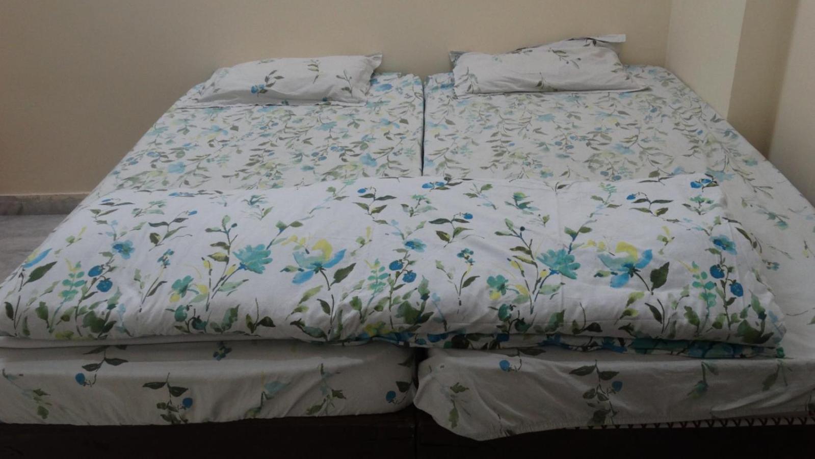 Om Trance Homestay Divisione di Divisione di Jaipur Esterno foto